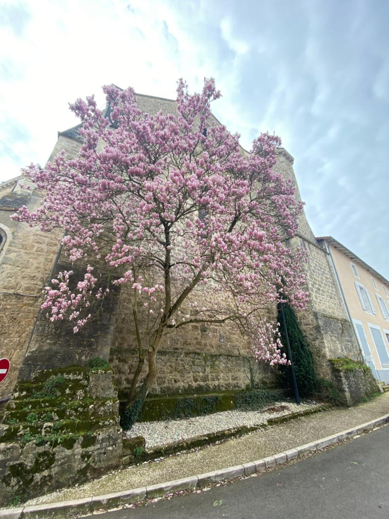 Logis Hotel Le Saint Georges Vivonne ภายนอก รูปภาพ